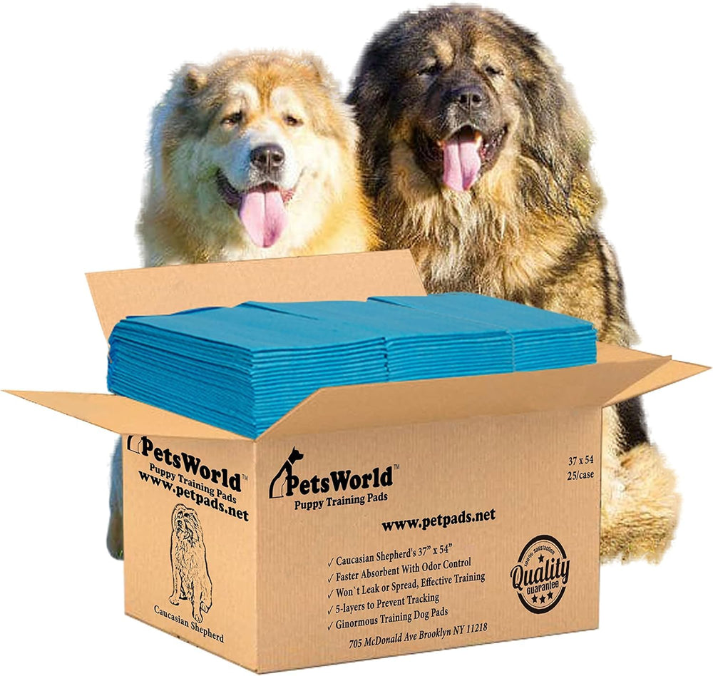 PETSWORLD Tapis-pipi chien geant 37x54 Pouces – couverture maximale.