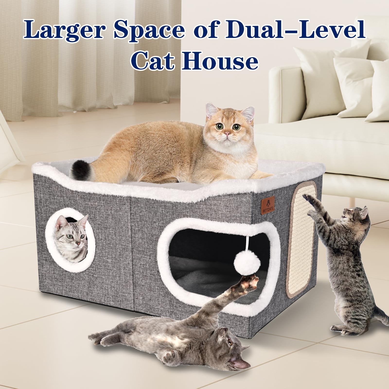 PETTDATE balle peluche suspendue pour jeu interactif des chats.