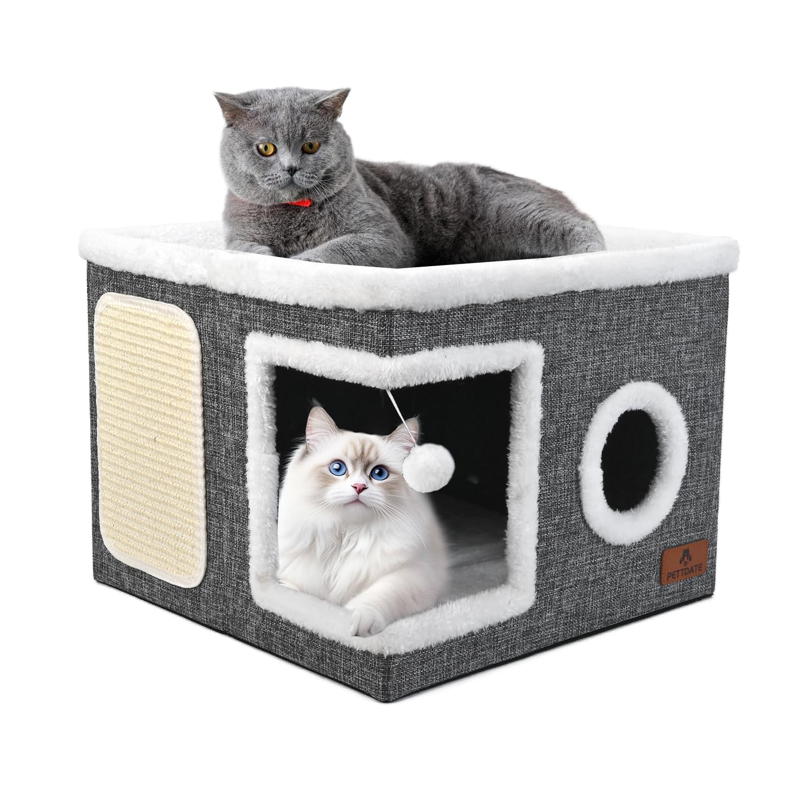 Pettdate cabane chat 2-en-1 ouverte en haut, espace repos.