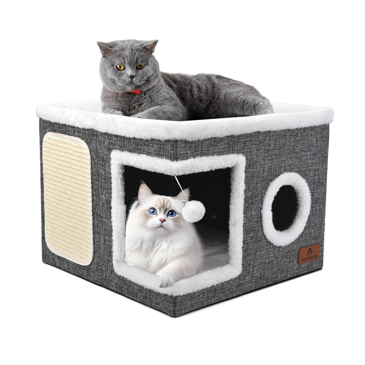 Pettdate cabane chat 2-en-1 ouverte en haut, espace repos.