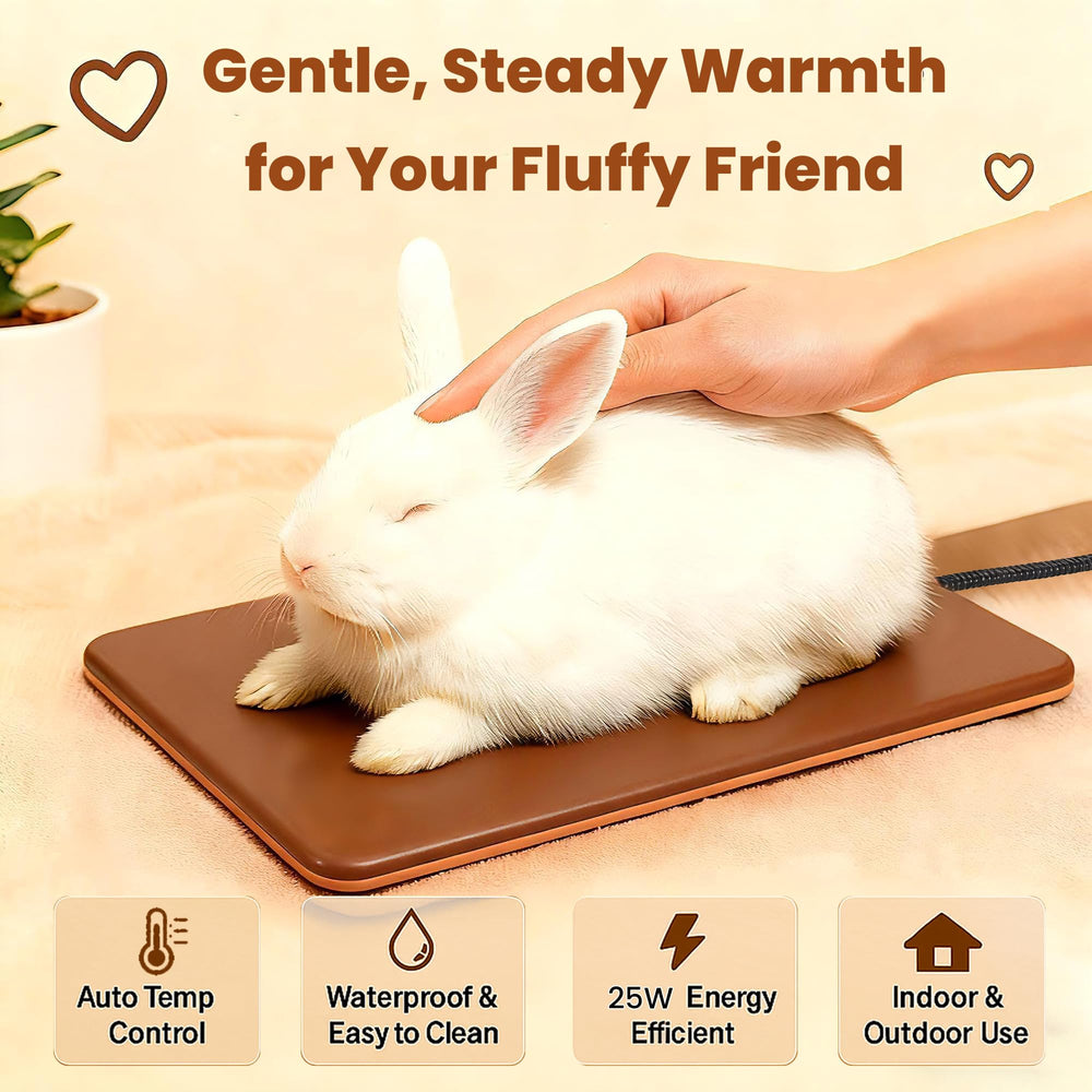 PetTemp régulateur automatique, chaleur constante et sécurité.