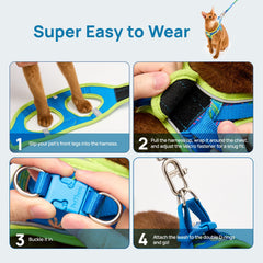 Laisse PetThem Hawaii Green idéale pour promenades calmes et sûres