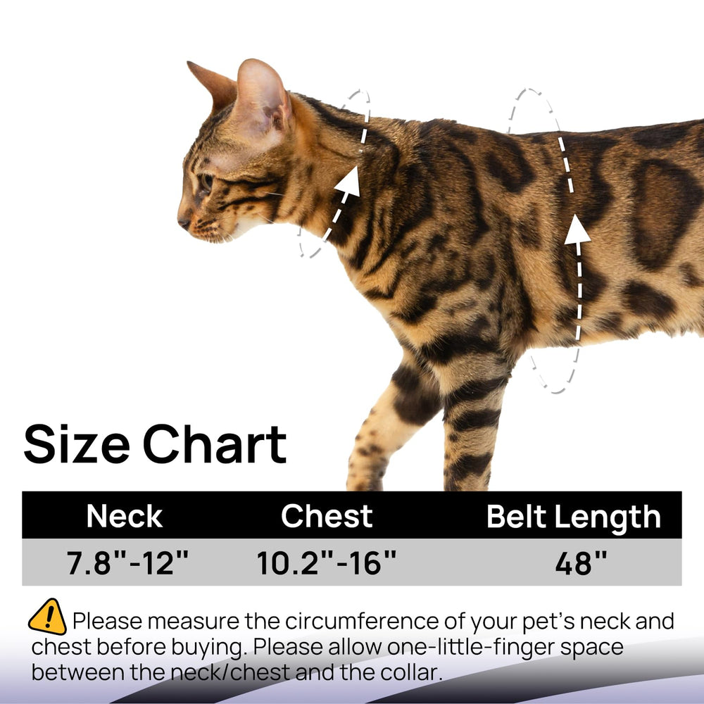 Laisse PetThem pour une utilisation extérieure avec votre chat.