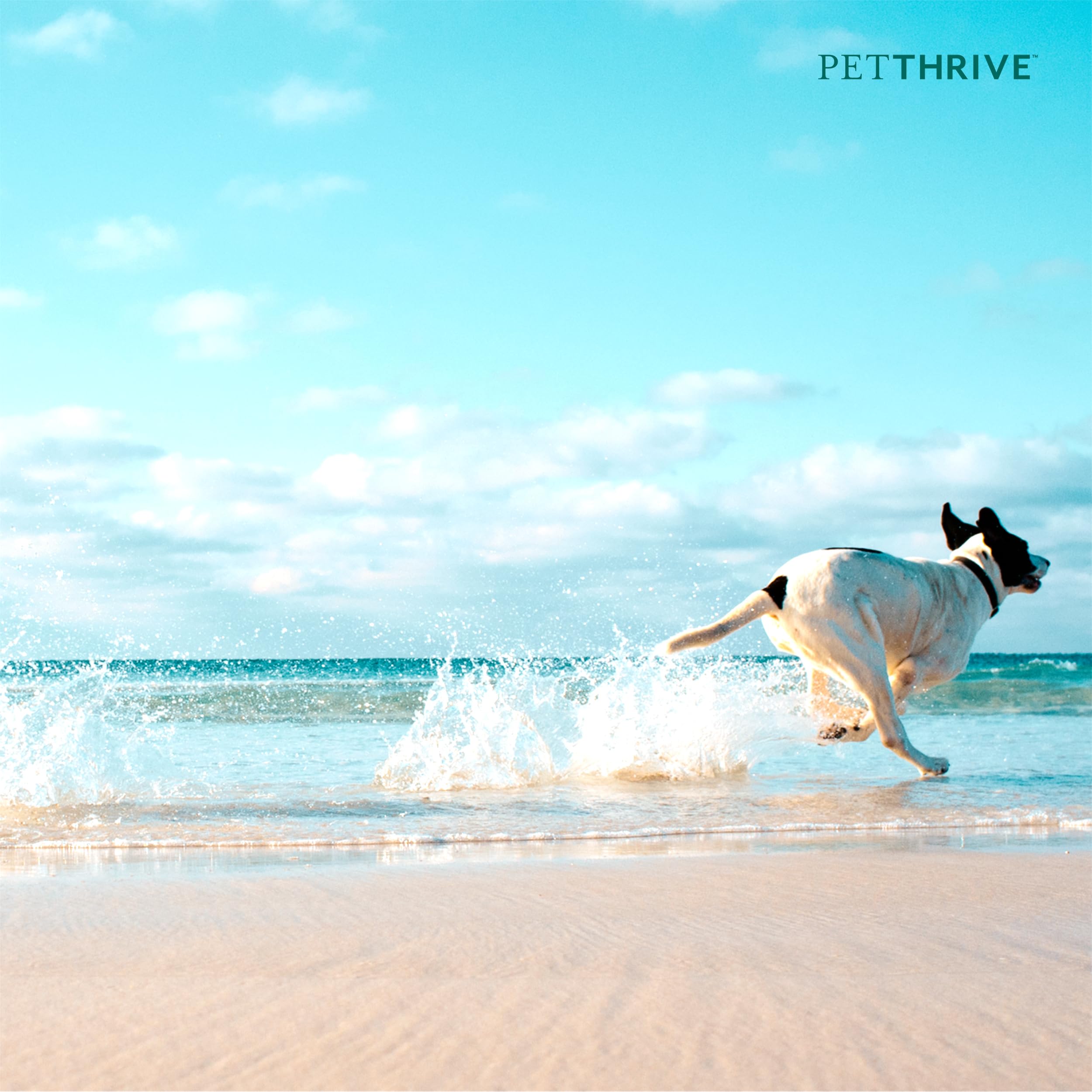 PetThrive fabrique-usa-supplement-chien indique fabrication locale et contrôle qualité.