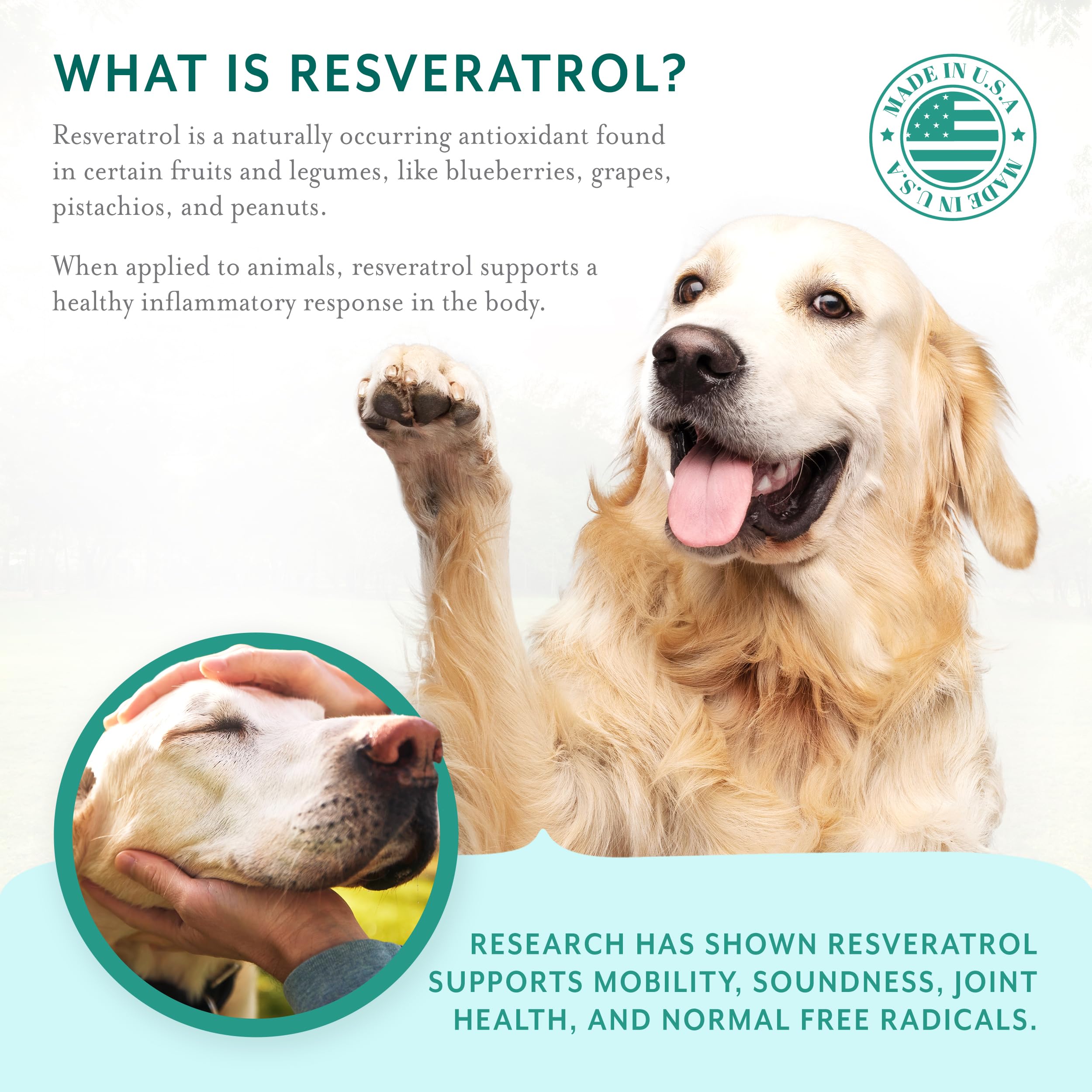PetThrive glucosamine-chondroitine-formule image de la combinaison clé pour la mobilité.