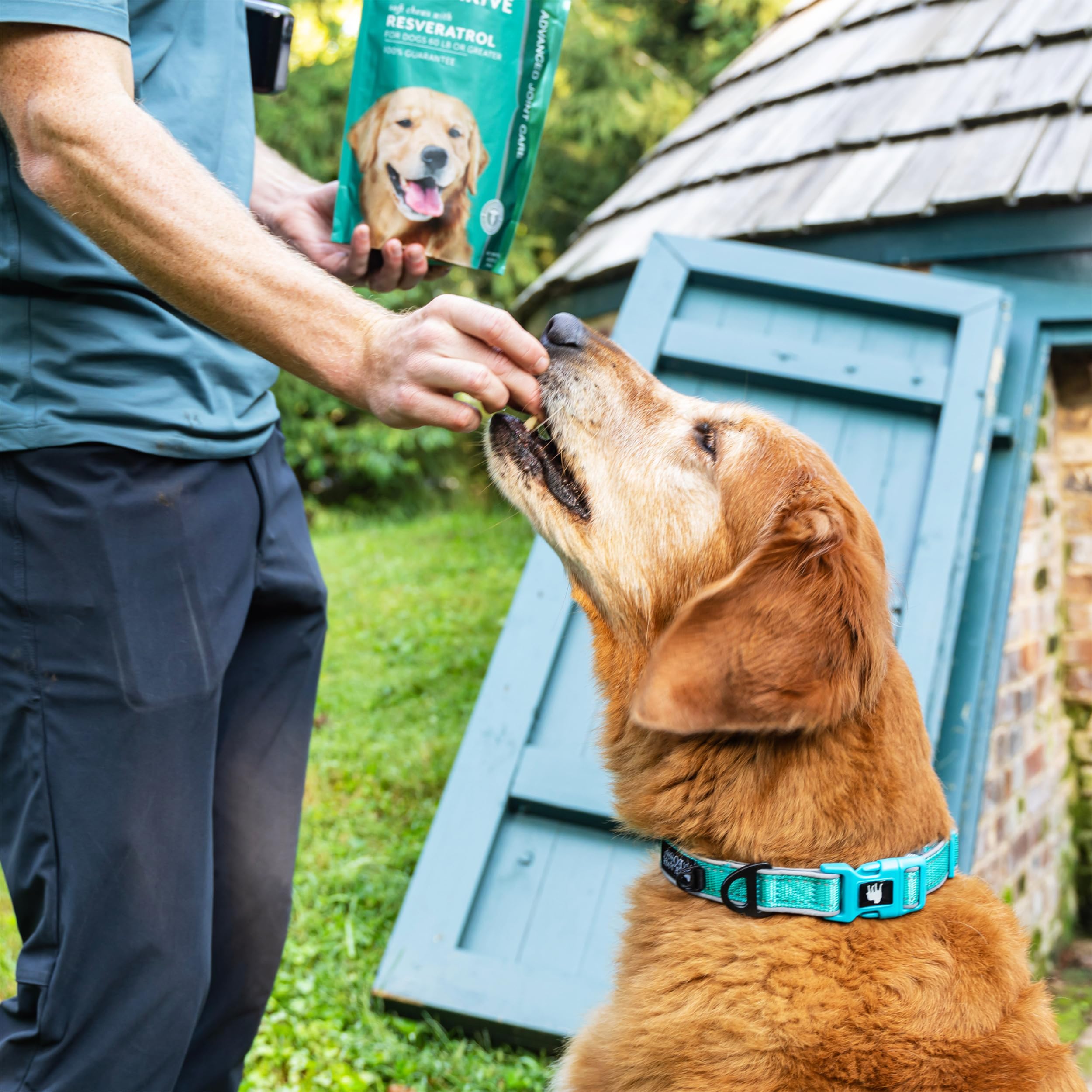 PetThrive hyaluronique-acide-articulations souligne le rôle potentiel dans la lubrification des joints.