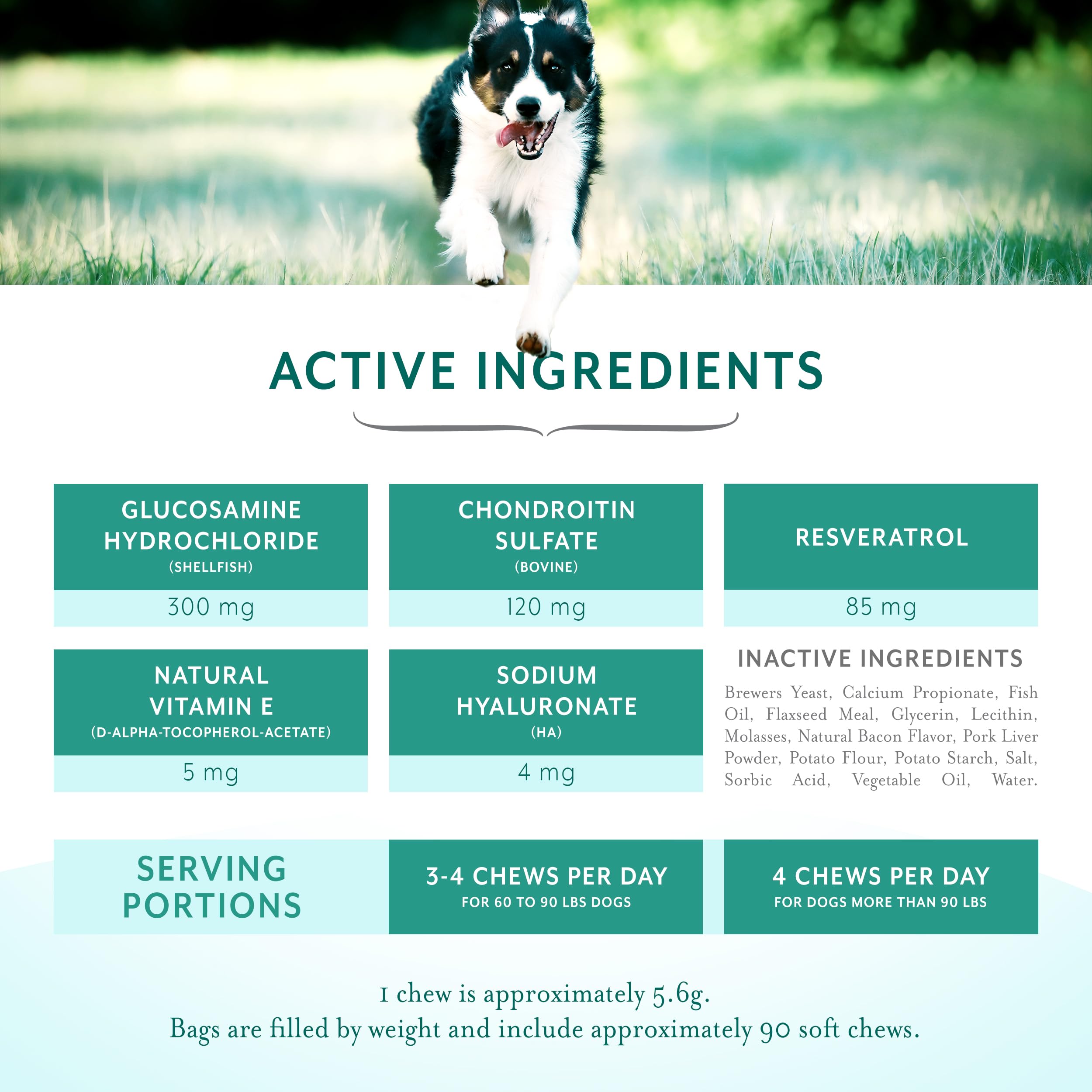 PetThrive resveratrol-complexe-articulations met en avant l’antioxydant naturel et le soutien possible.