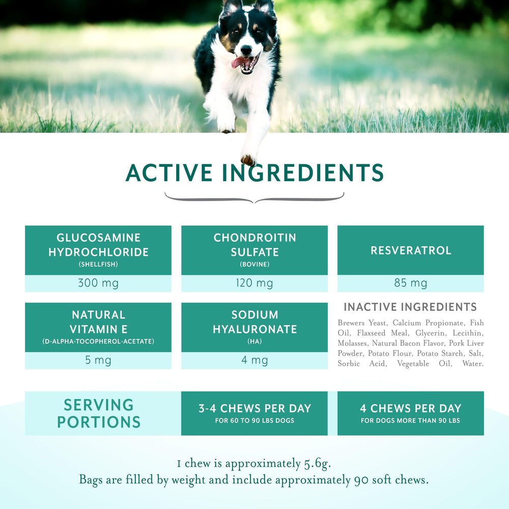 PetThrive resveratrol-complexe-articulations met en avant l’antioxydant naturel et le soutien possible.