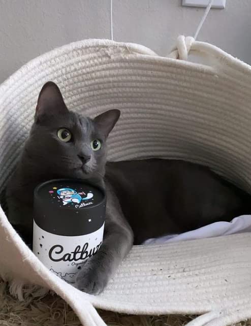 Catbuzz Catnip – cultivé par des agriculteurs familiaux américains, soutien local et chaîne d'approvisionnement durable.