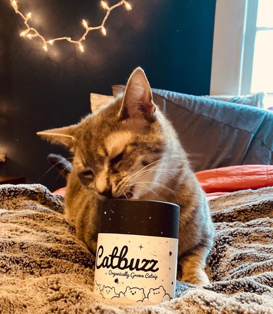 Catbuzz Catnip – emballage respectueux de l'environnement et contribution à la conservation de la faune.