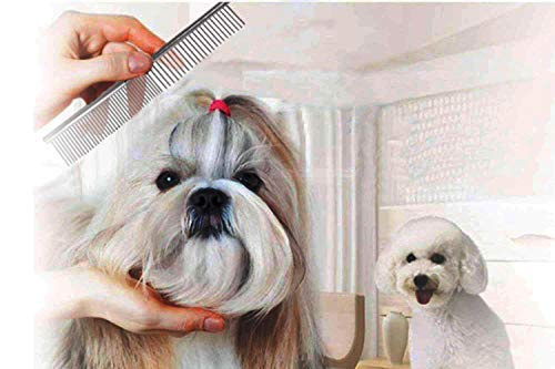 PETTOM format compact pour voyages et balades.