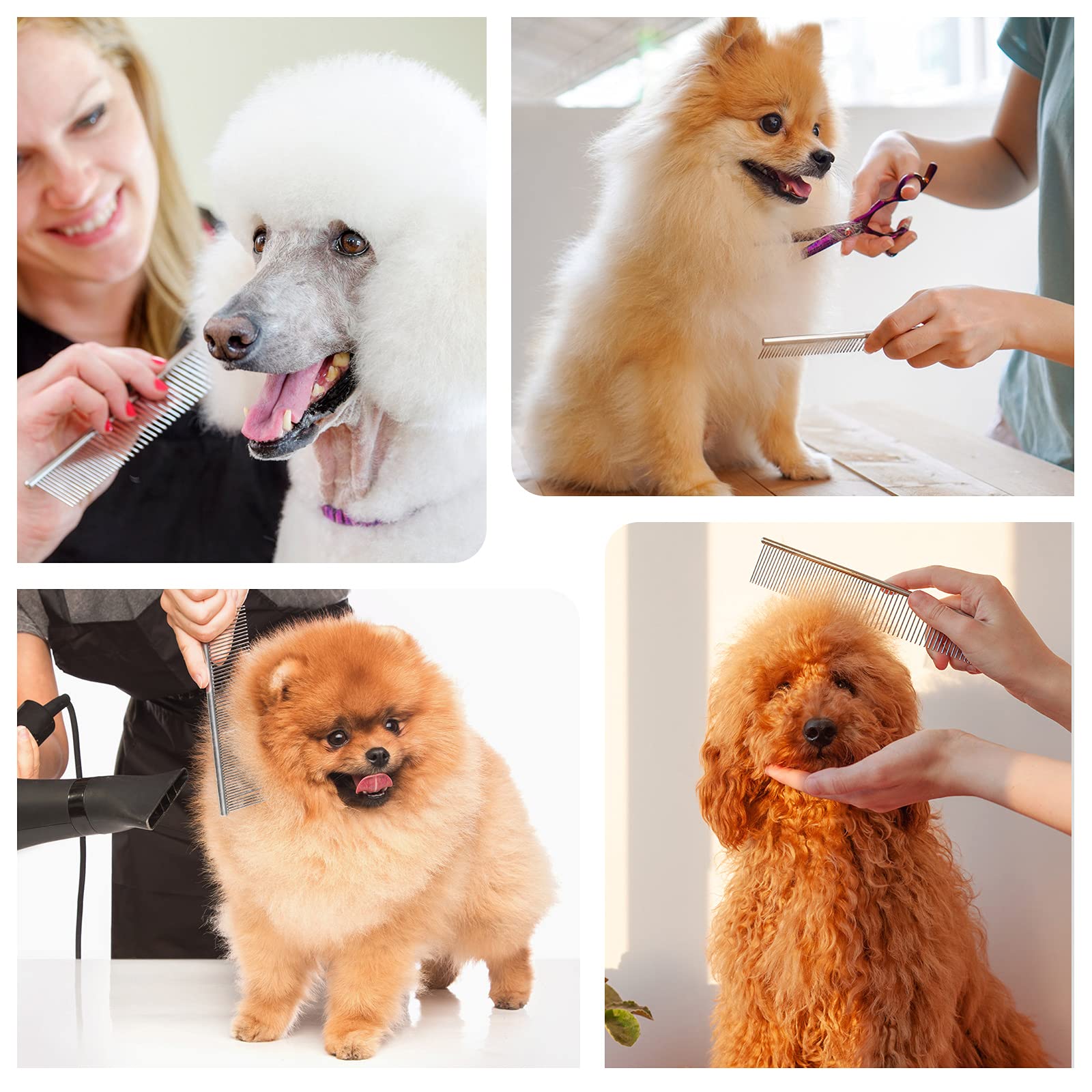 PETTOM laisse le poil lisse et soyeux.