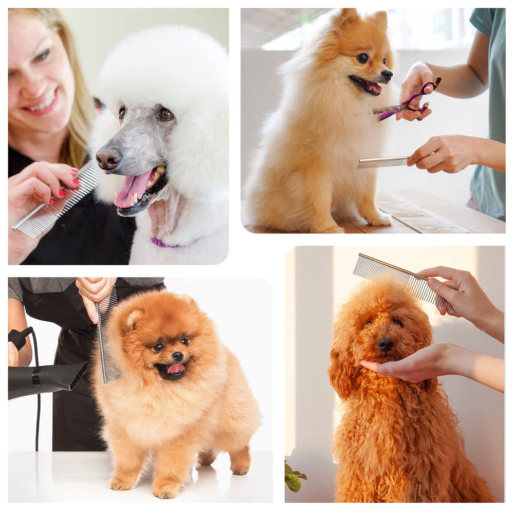 PETTOM laisse le poil lisse et soyeux.