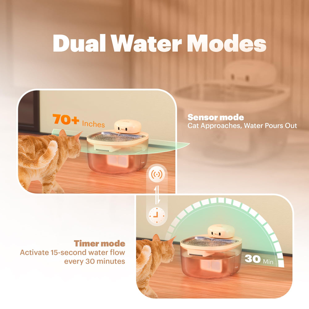 PetTop mode senseur – distribution automatique pratique