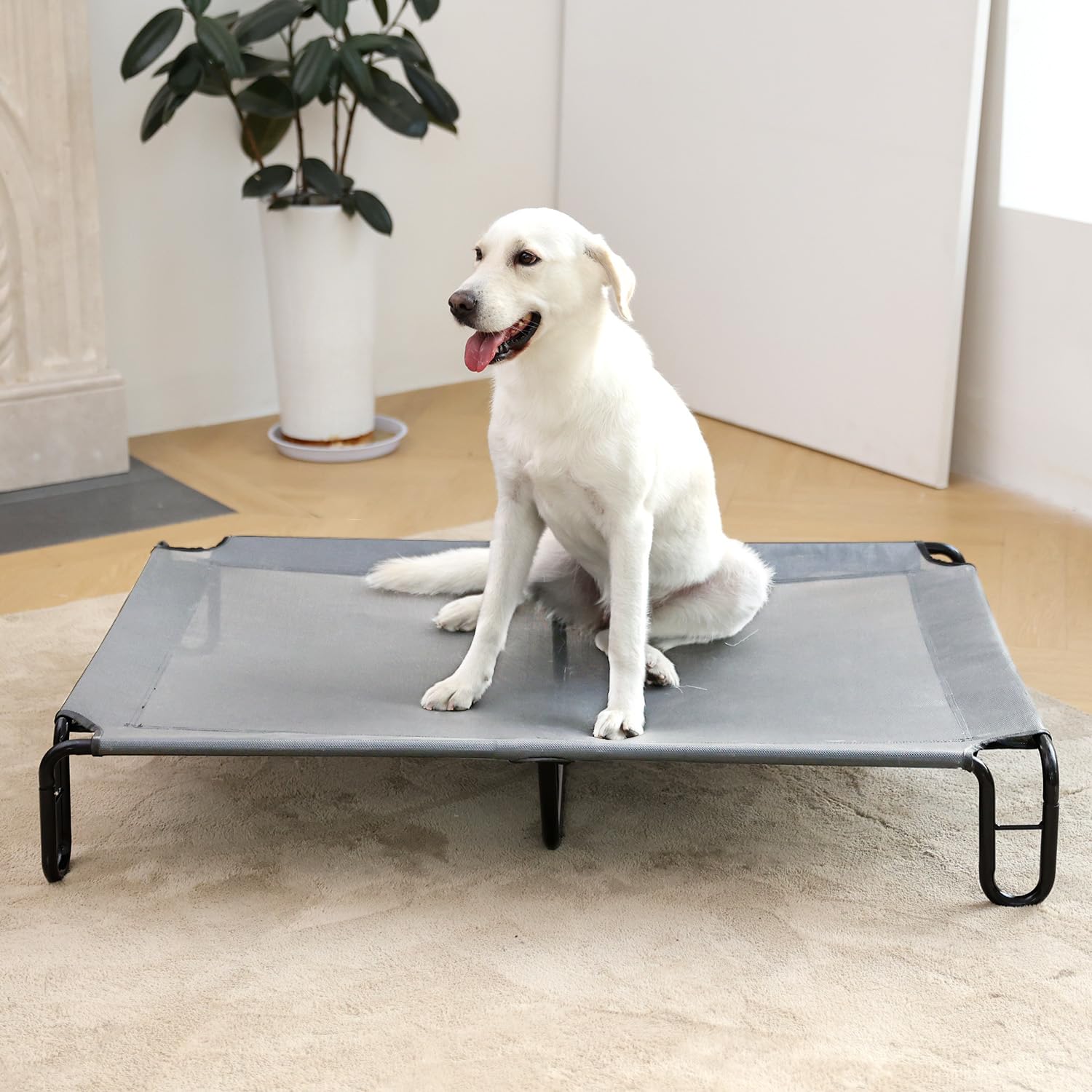 Pettycare lit chien portable, parfait pour extérieur et déplacements.