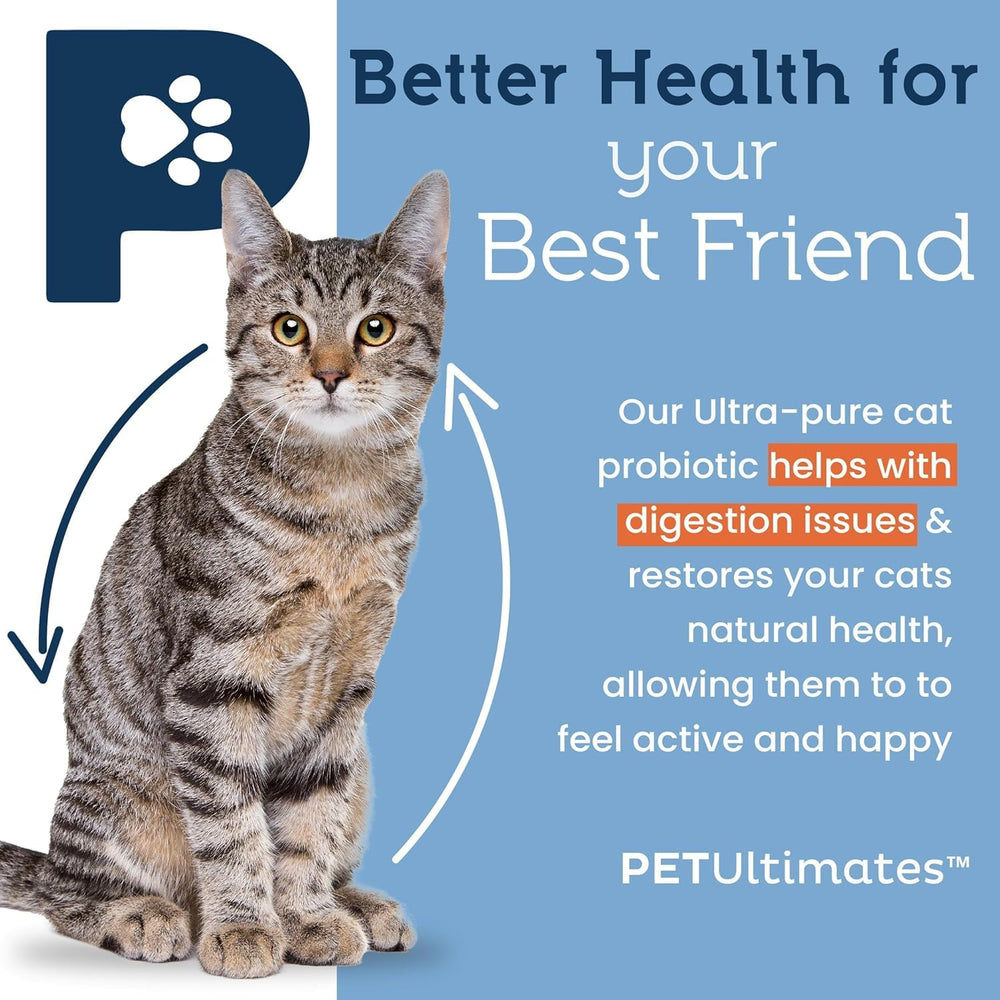 PetUltimates Probiotiques Chats: 20 espèces et enzymes pour une digestion plus équilibrée.