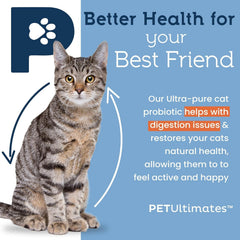 PetUltimates Probiotiques Chats: 20 espèces et enzymes pour une digestion plus équilibrée.