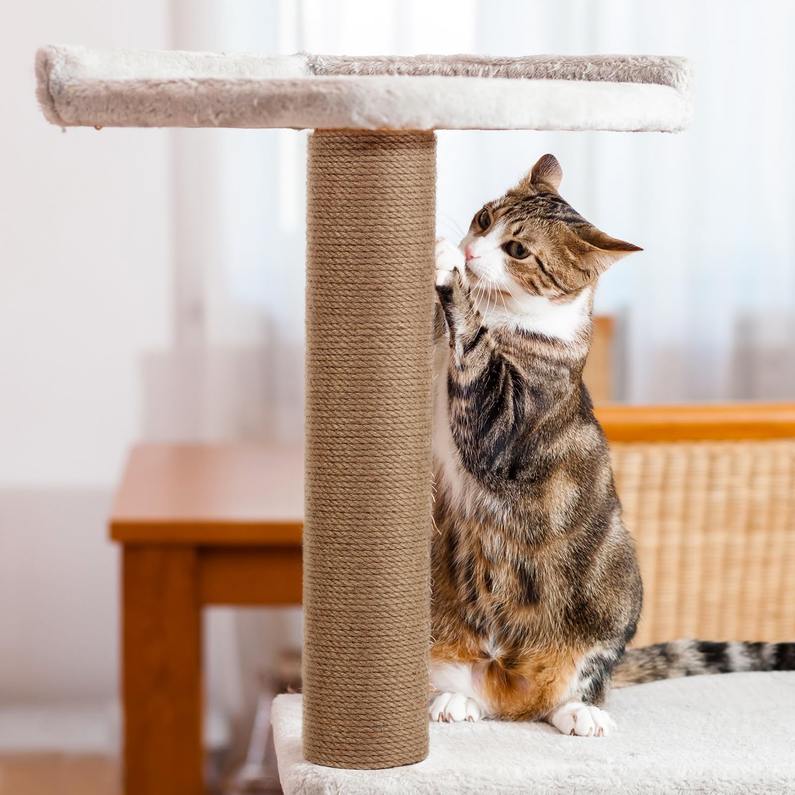 PETUOL installation facile avec vis M8 pour arbre à chat