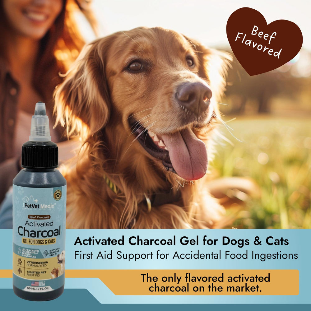 Application facile du gel charbon actif PetVet Medic sans gâchis pour chiens et chats.