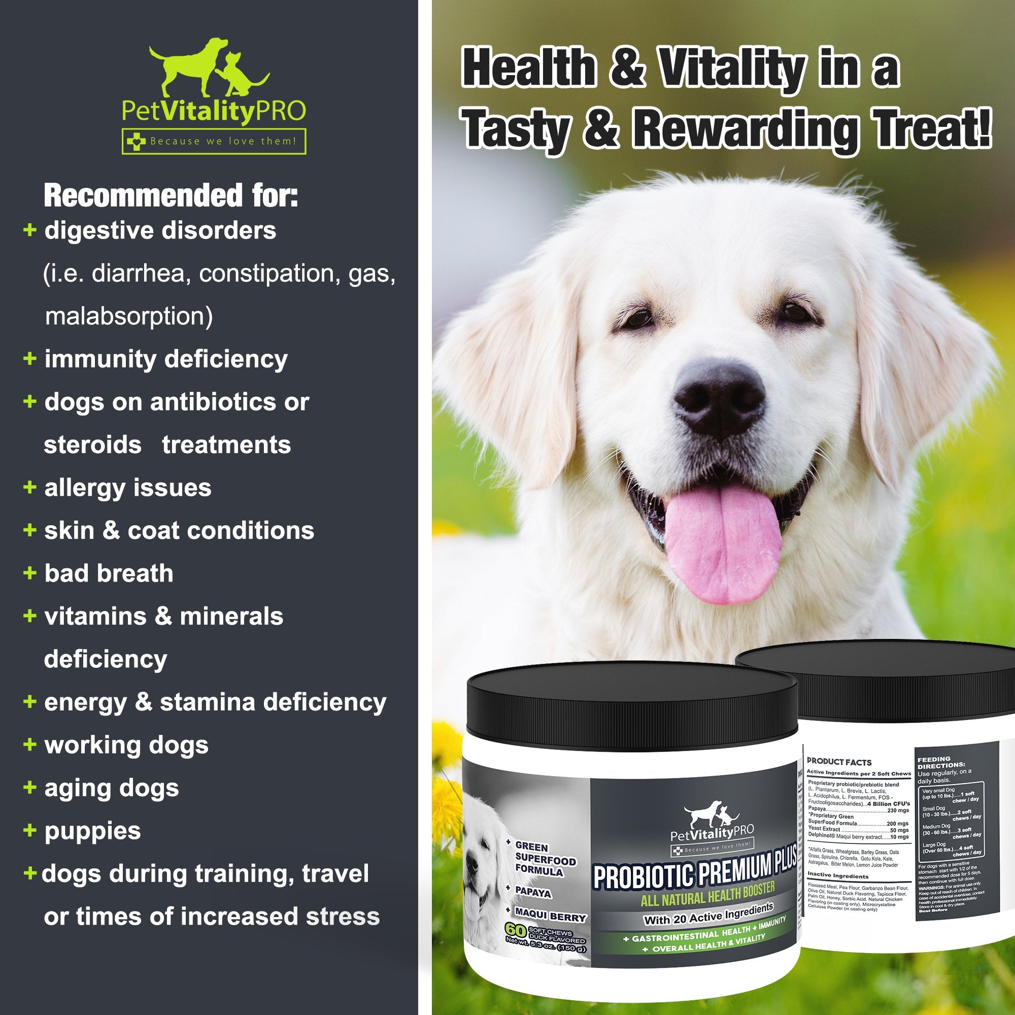 PetVitalityPRO immunité chien – protection et énergie.