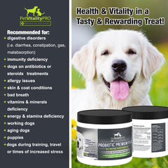 PetVitalityPRO immunité chien – protection et énergie.