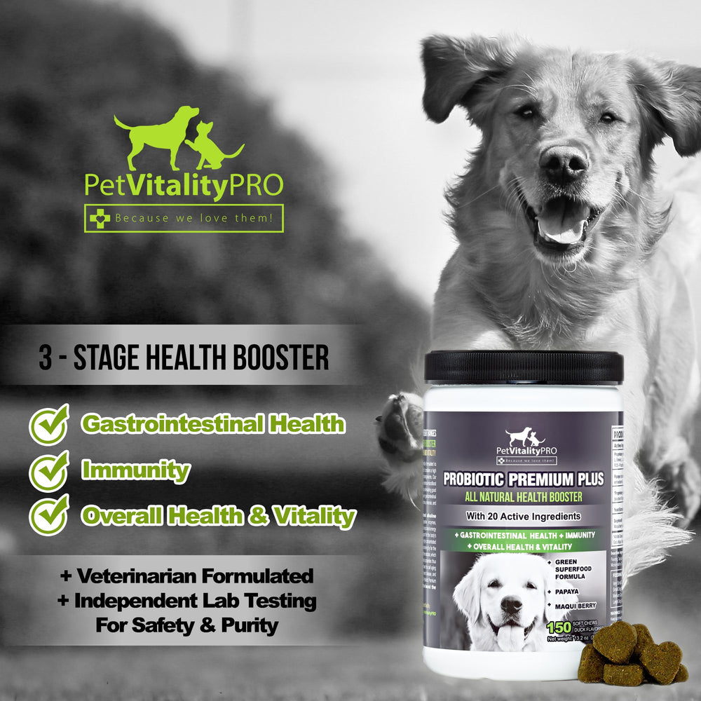 PetVitalityPRO Probiotiques pour chien – meilleure absorption des nutriments possible