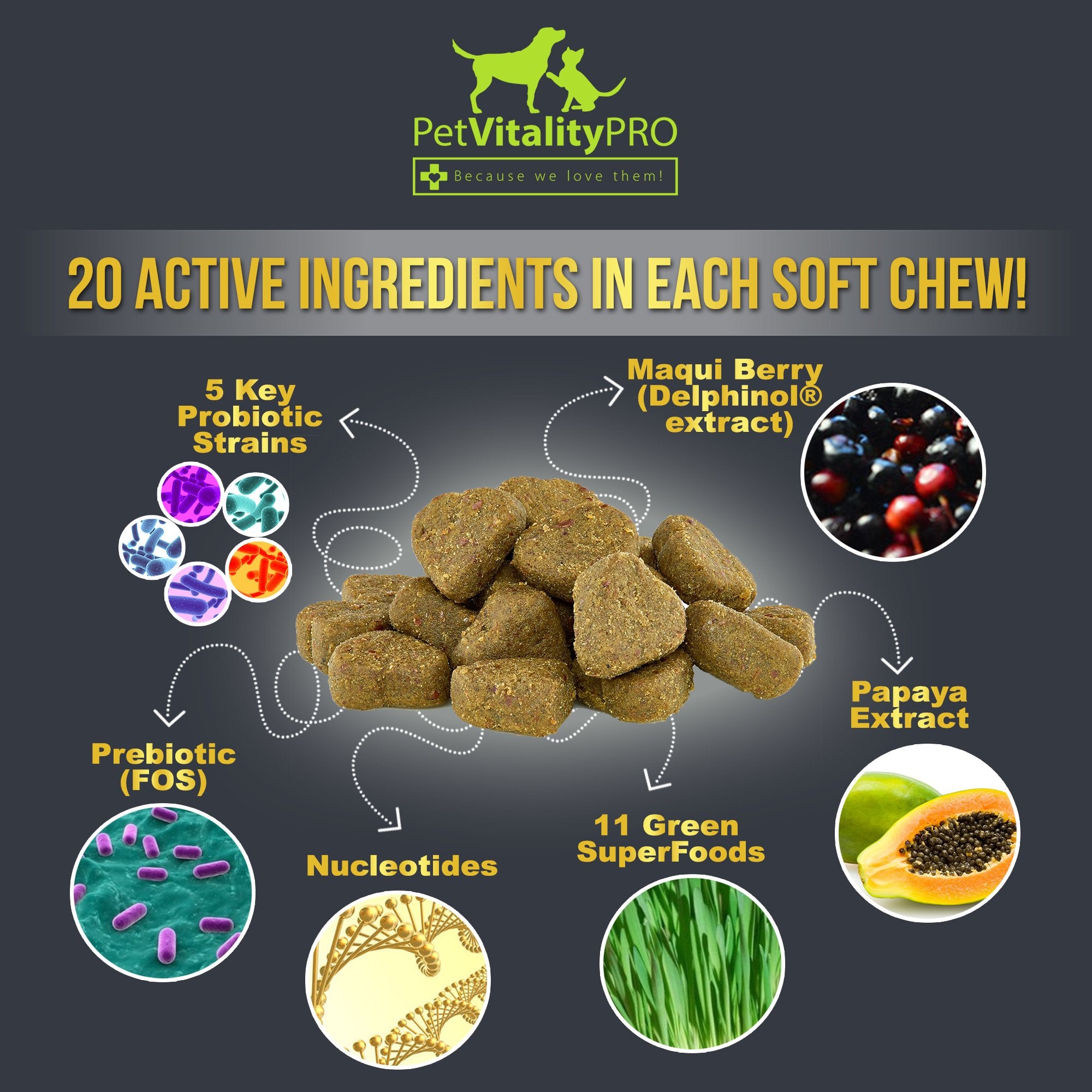 PetVitalityPRO Probiotiques pour chien – support lors d’un traitement antibiotique