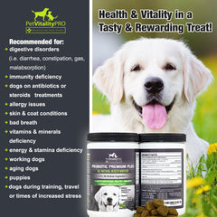 PetVitalityPRO Probiotiques pour chien – ingrédients clés et nutriments essentiels