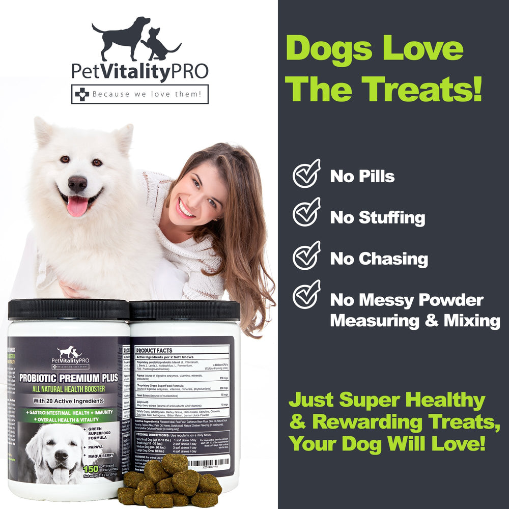 PetVitalityPRO Probiotiques pour chien – aide pendant le stress et les trajets