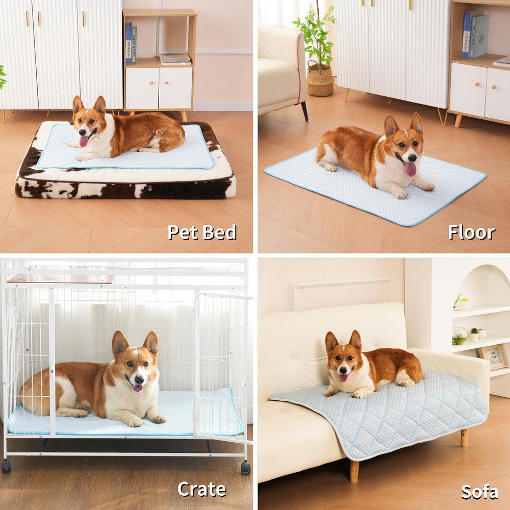 Matelas Petvolve: lavable en machine pour un entretien sans effort.