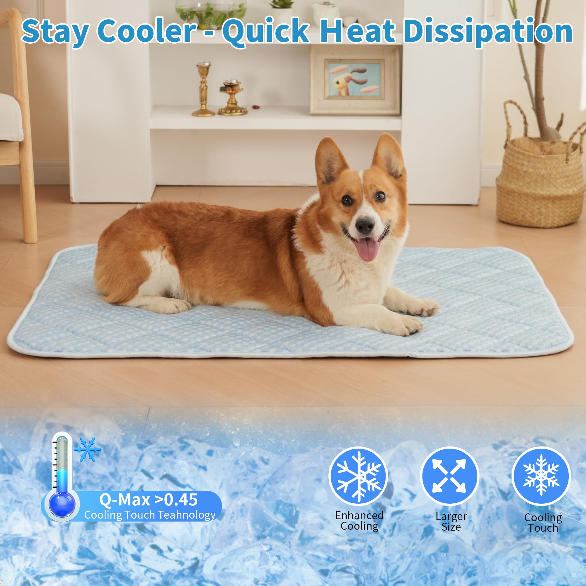 Matelas Petvolve: remplissage PP coton pour un soutien doux et durable.