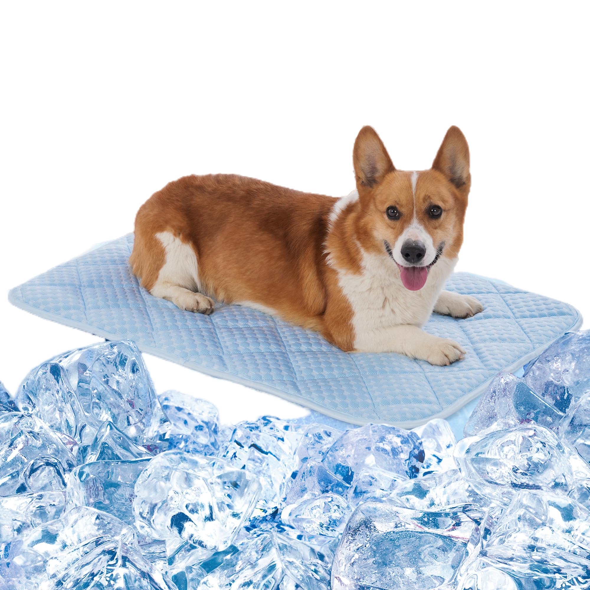 Matelas Petvolve: surface refroidie pour chien, confort immédiat en été.