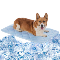 Matelas Petvolve: surface refroidie pour chien, confort immédiat en été.