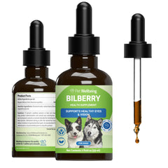 Pet Wellbeing Bilberry pour chien – image montrant le focus sur les yeux et le bien‑être visuel.