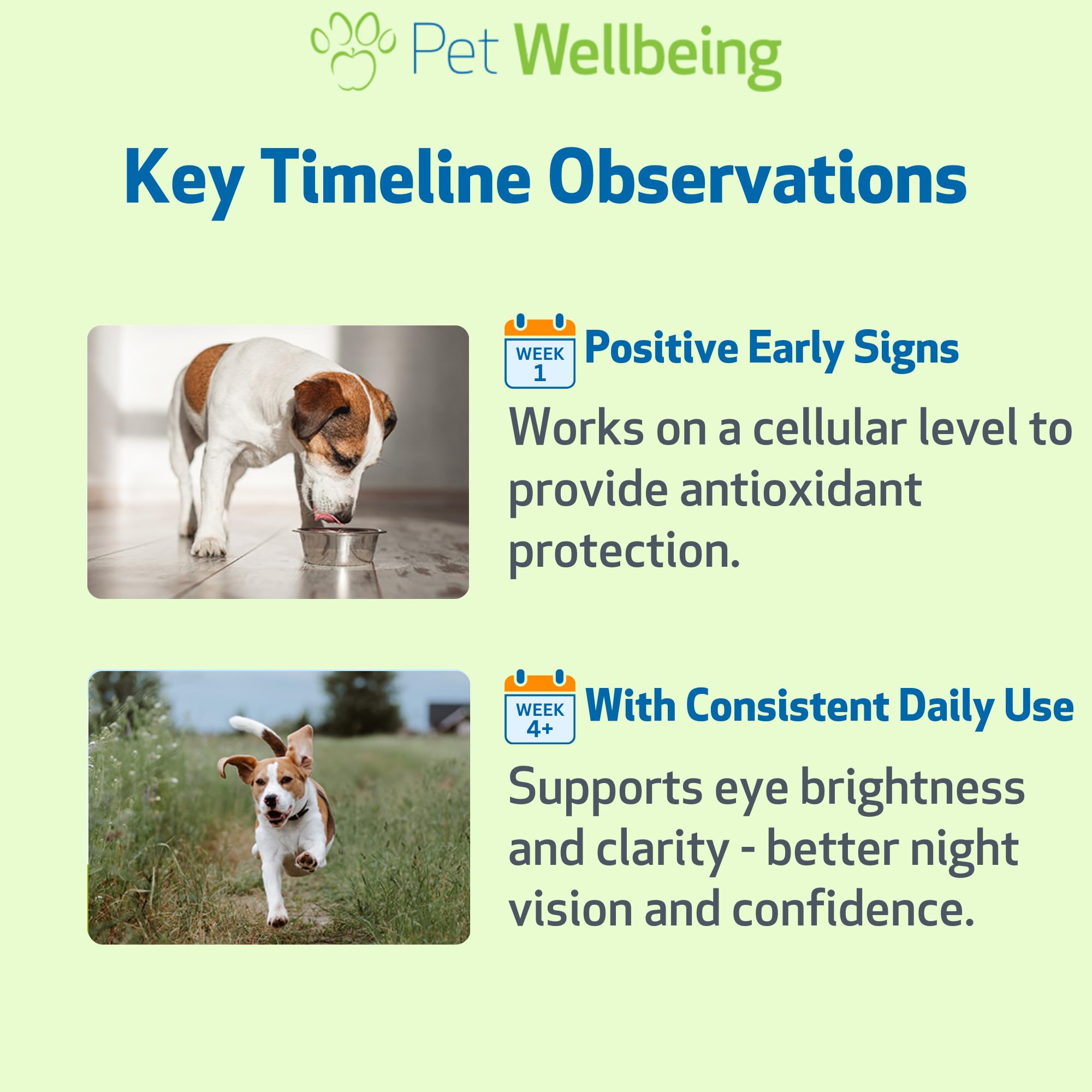 Bilberry Pet Wellbeing – formulation vétérinaire élaborée par des professionnels.