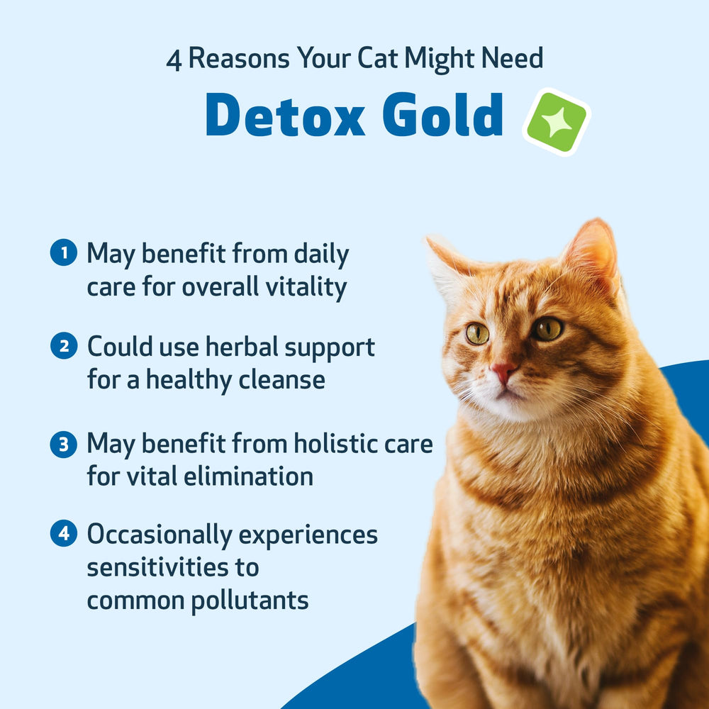 Pet Wellbeing Detox Gold chat utilisation — soutien quotidien pour le bien-être du chat