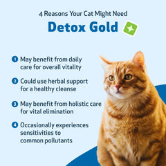 Pet Wellbeing Detox Gold chat utilisation — soutien quotidien pour le bien-être du chat