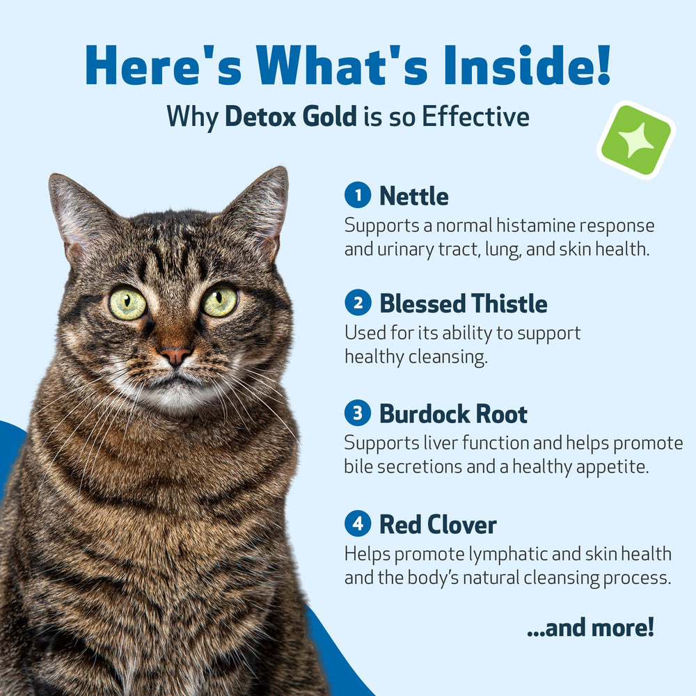 Pet Wellbeing Detox Gold emballage — produit fabriqué aux États-Unis avec normes BPF