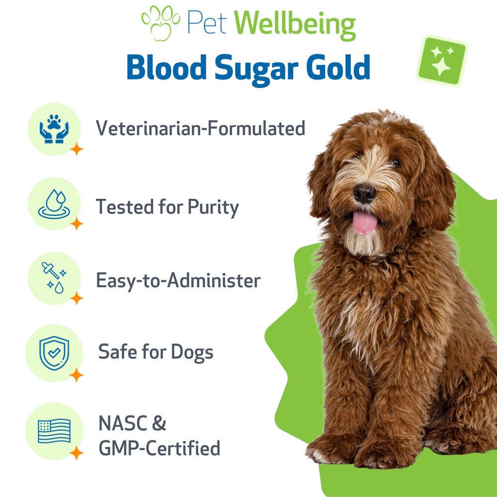 Pet Wellbeing Blood Sugar Gold pour chiens — extrait d’Herbes pour foie et pancréas.