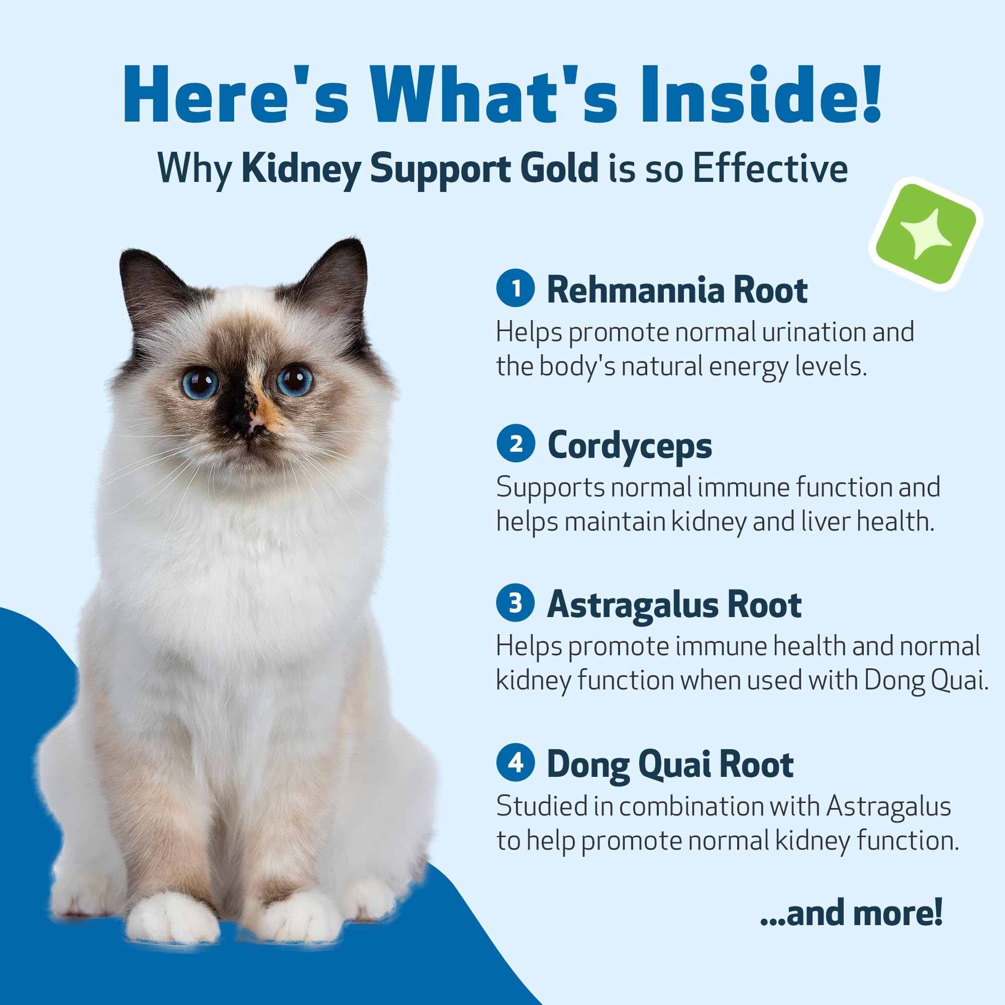 Flacon-dose liquide Pet Wellbeing Kidney Support Gold pour une administration précise.