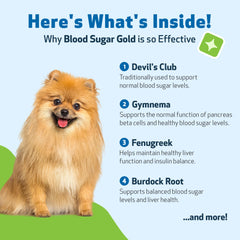Pet Wellbeing Blood Sugar Gold pour chiens — soutien métabolique potentiel grâce aux herbes.