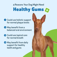 Pet Wellbeing plaque dentaire moins élevée pour des dents propres.