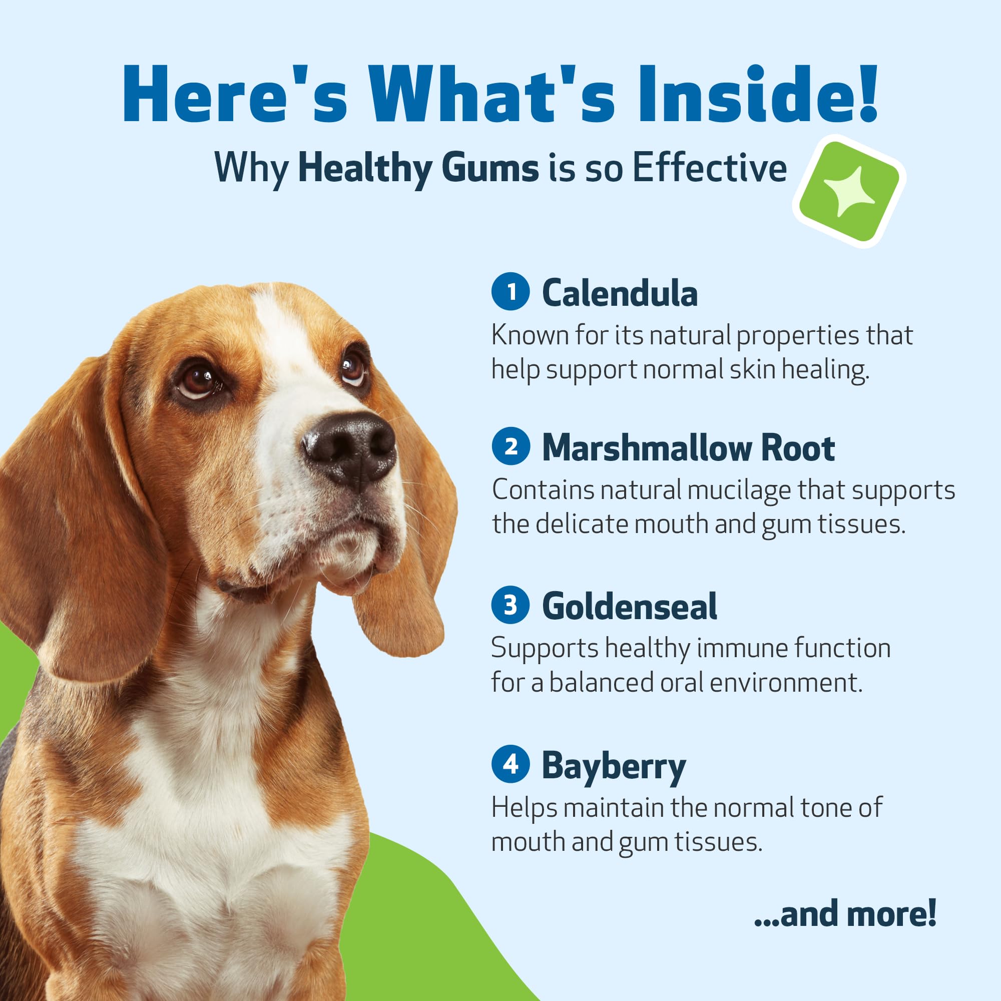 Pet Wellbeing sante orale chien grâce à une supplémentation douce.