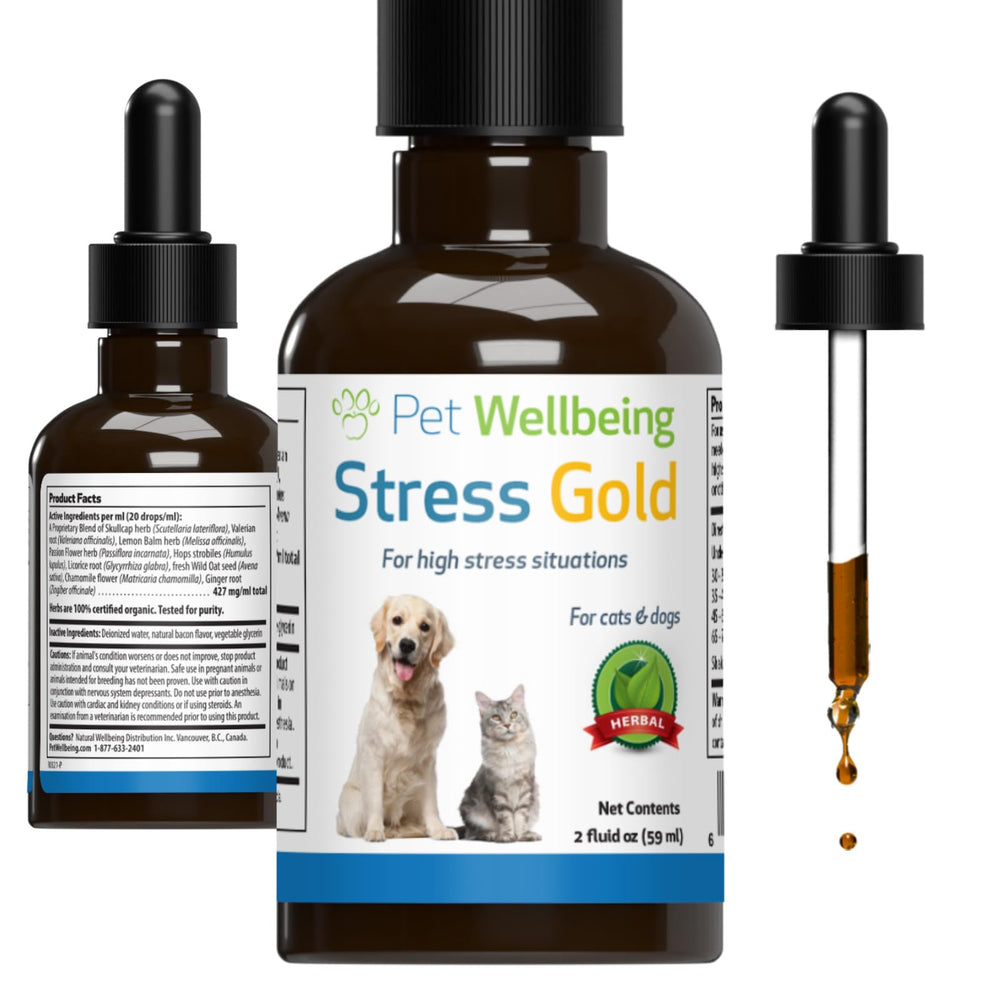 Stress Gold Pet Wellbeing, flacon pour soutien rapide lors de visites chez le vétérinaire.
