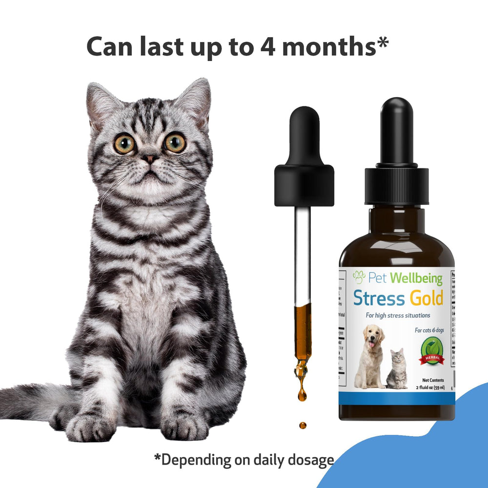 Stress Gold Pet Wellbeing, produit certifié NASC pour sécurité et qualité.