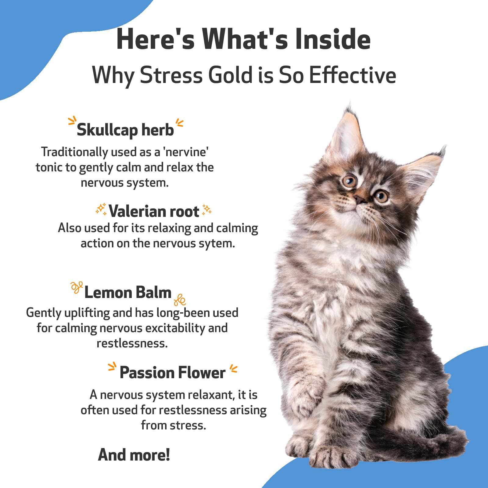 Stress Gold Pet Wellbeing, mélange d’herbes naturelles pour le bien-être félin.