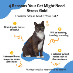 Stress Gold Pet Wellbeing, pipette doseuse pour voyages en voiture.