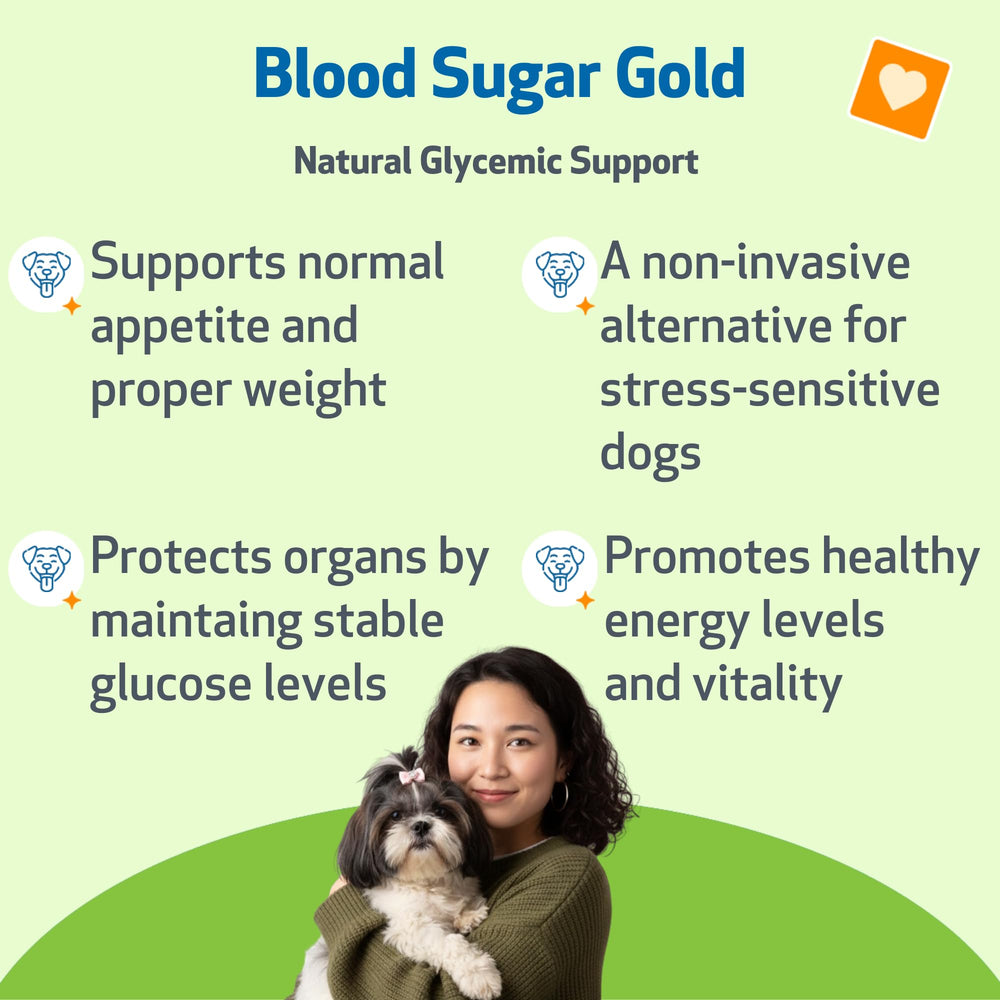 Pet Wellbeing Blood Sugar Gold pour chiens — goutte précise à ajouter au repas.