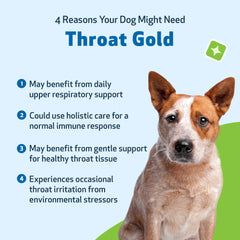 Pet Wellbeing Throat Gold – mélange d’herbes pour le confort naturel des voies respiratoires.