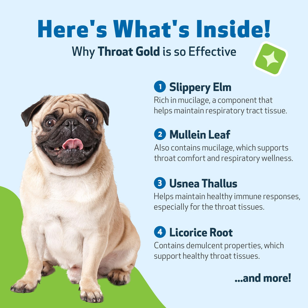 Pet Wellbeing Throat Gold – molène et orme glissant pour le bien-être de la gorge.